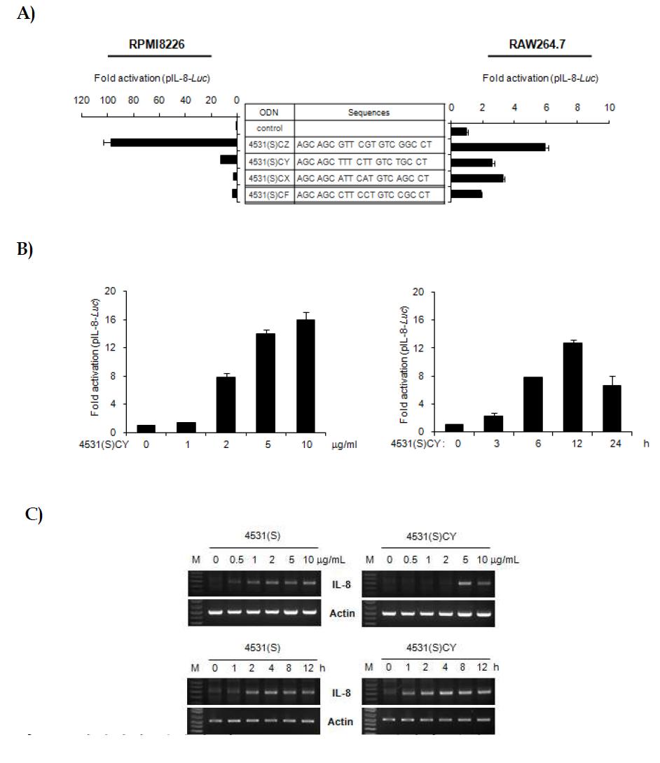 염기서열 변형에 따른 IL-8 promoter 활성화 분석.