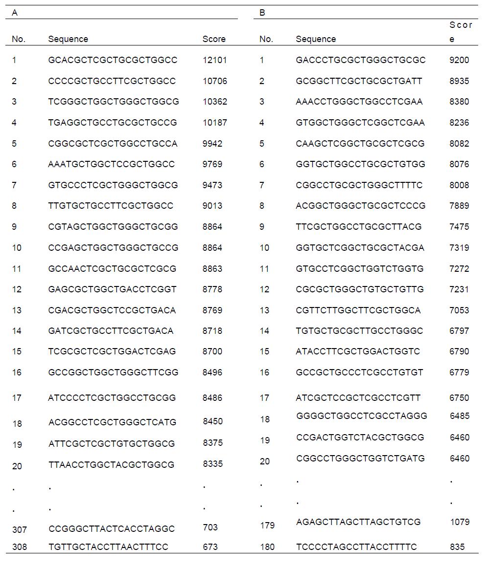 Mycobacterium bovis의 chromosomal DNA에서 XXCpTXX motif를 함유하는 20개의 염기서열들을 분석함