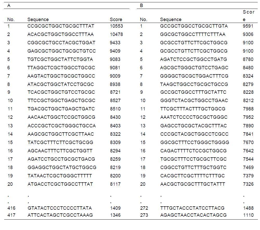 Salmonella typhi의 chromosomal DNA에서 XXCpTXX motif를 함유하는 20개의 염기서열들을 분석함