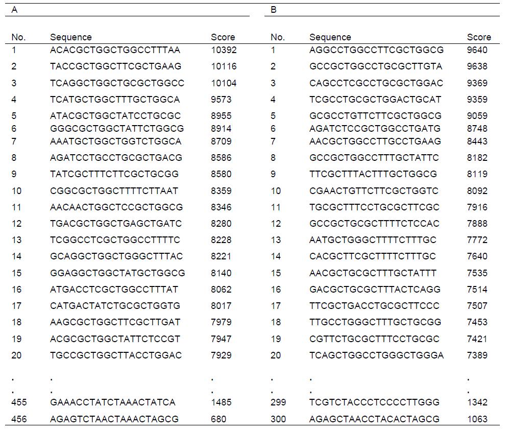 Salmonella typhimurium의 chromosomal DNA에서 XXCpTXX motif를 함유하는 20개의 염기서열들을 분석함