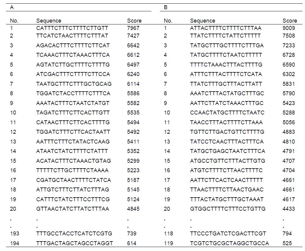 Staphylococcus aureus의 chromosomal DNA에서 XXCpTXX motif를 함유하는 20개의 염기서열들을 분석함
