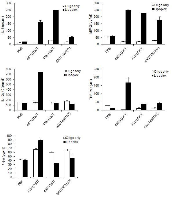 리포좀-CpT motif 면역조절물질 복합체에 싸이토카인의 발현 증가.