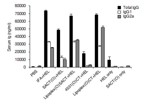 리포좀-CpT motif 면역조절물질 복합체에 의한 humoral immunity의 증가 확인. 항체의 양 측정