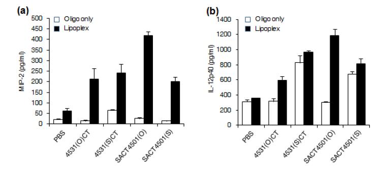 FL-DC에 대한 리포좀-CT-ODN 복합체의 cytokine 발현 영향 관찰.
