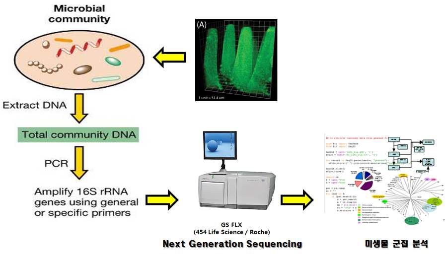 장생태계 온어칩 내 미생물 균총 분석을 위한 Next Generation Sequencing (NGS).