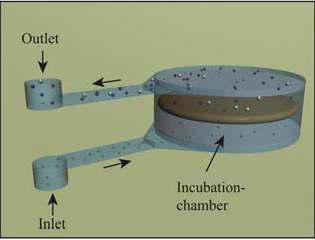 Midwoud et al., Lab Chip, 2010.