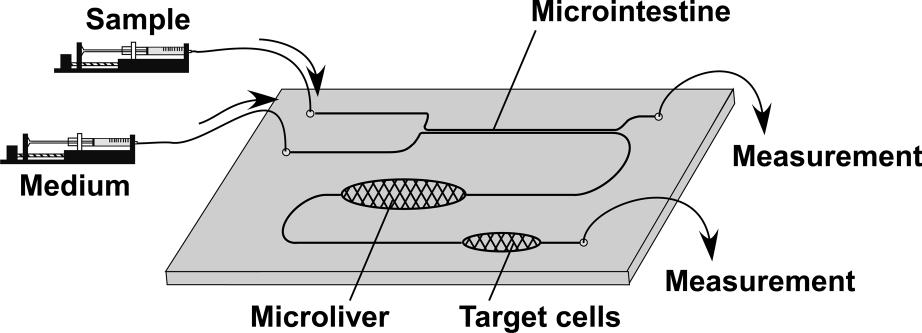 Imura et al., Anal Chem, 2010.