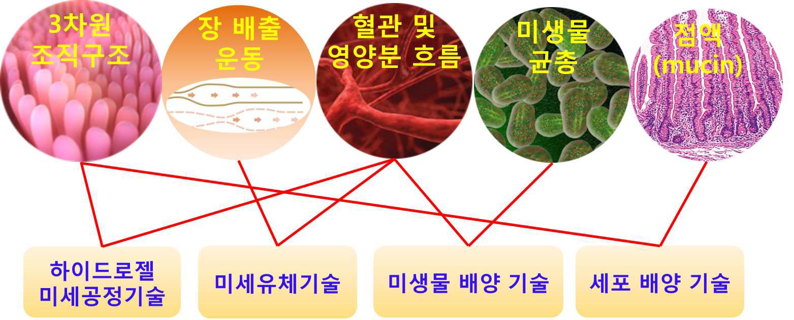 장내 환경 요소들을 구현하기 위한 기술의 관계도.