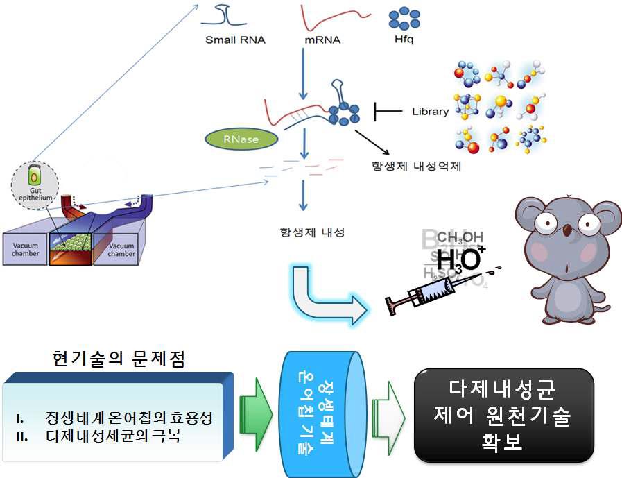 3세부 전체 연구개념도.