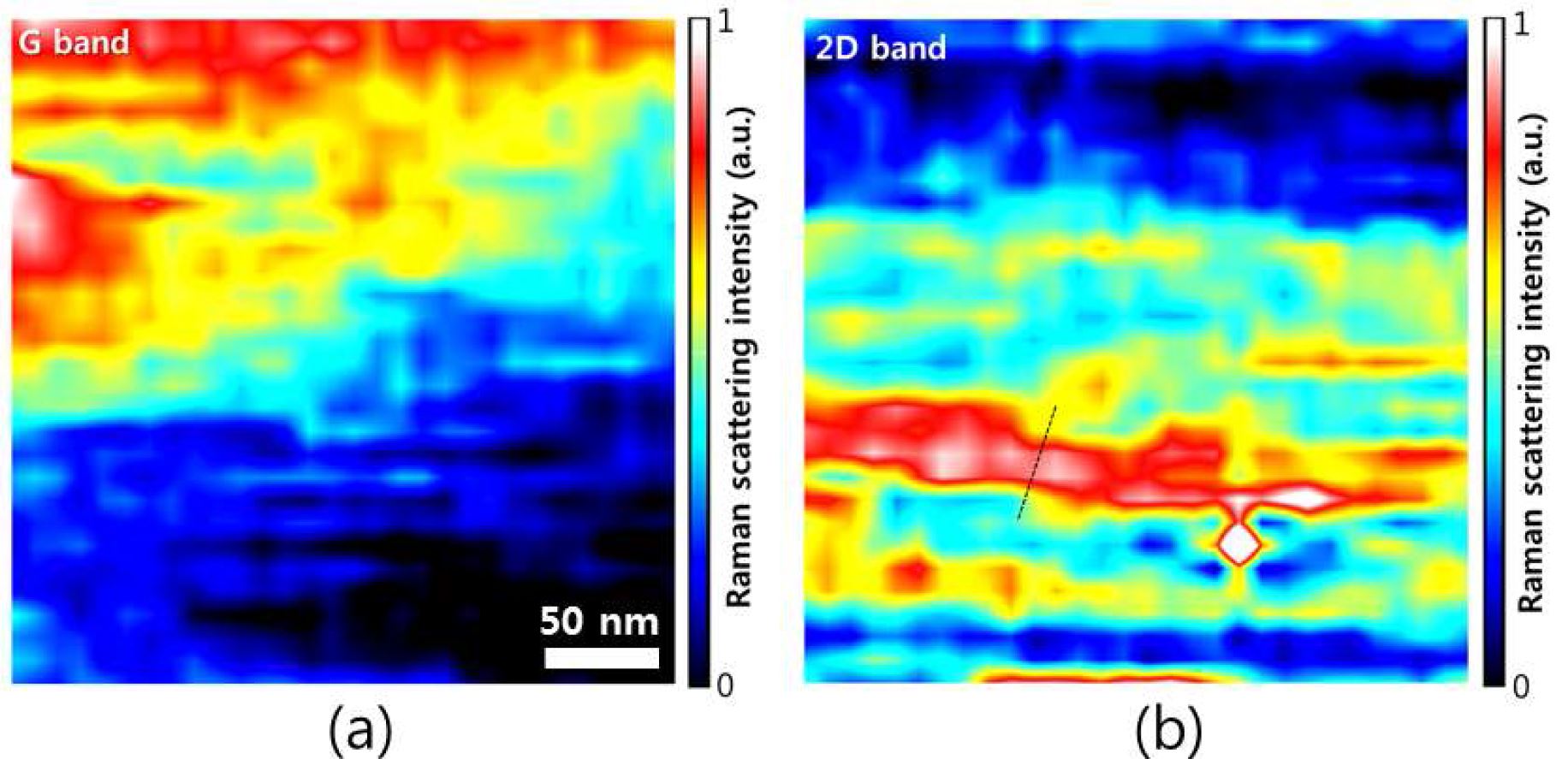 그림 10 UV-NSOM-Raman 시스템으로 측정된 단일층 그래핀의 G band 산란 분포 (a)와 2D band 산란 분포 (b).