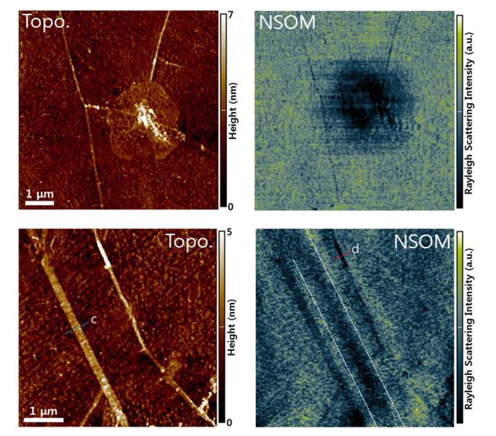 그림 32 그래핀 grain boundary, wrinkle의 NSOM 이미지