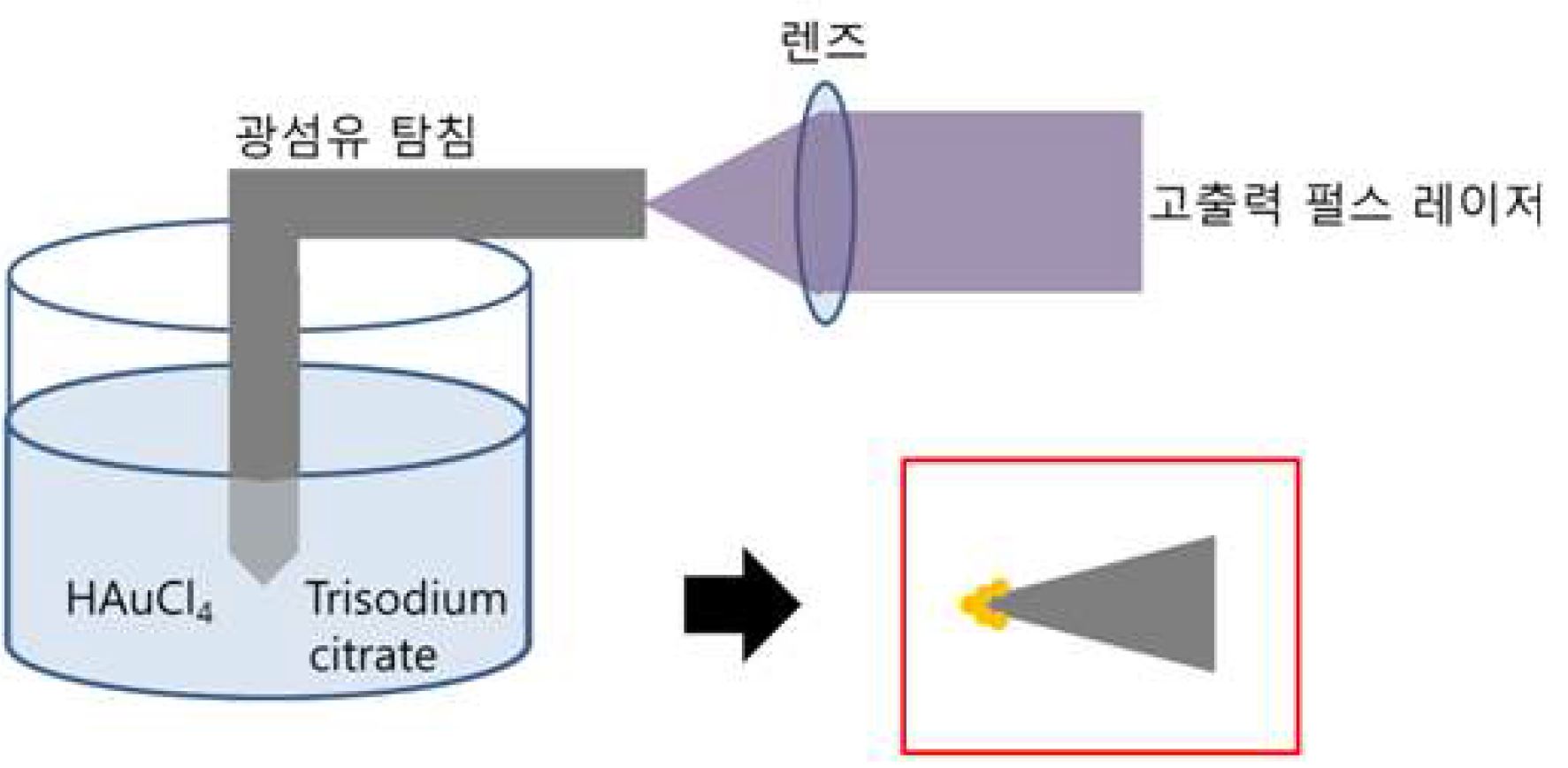 그림 40 기능성 금 나노 입자 탐침의 제작 방법.