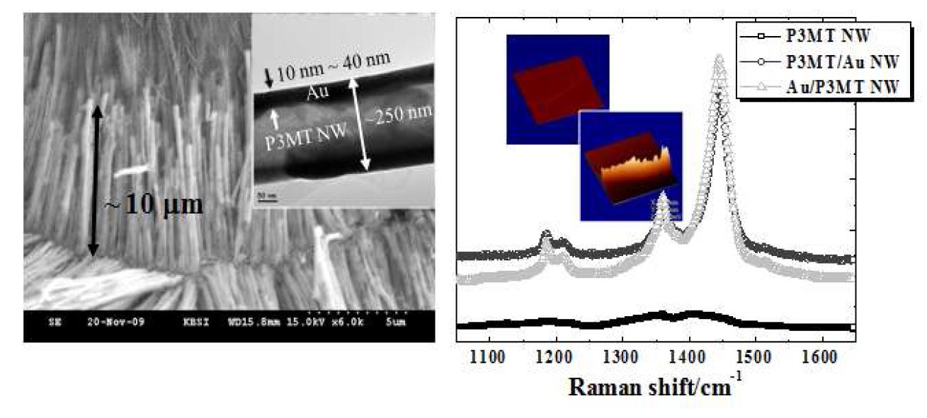 그림 55 폴리머/금속 동축 나노선과 폴리머 나노선의 라만 스펙트럼 비교