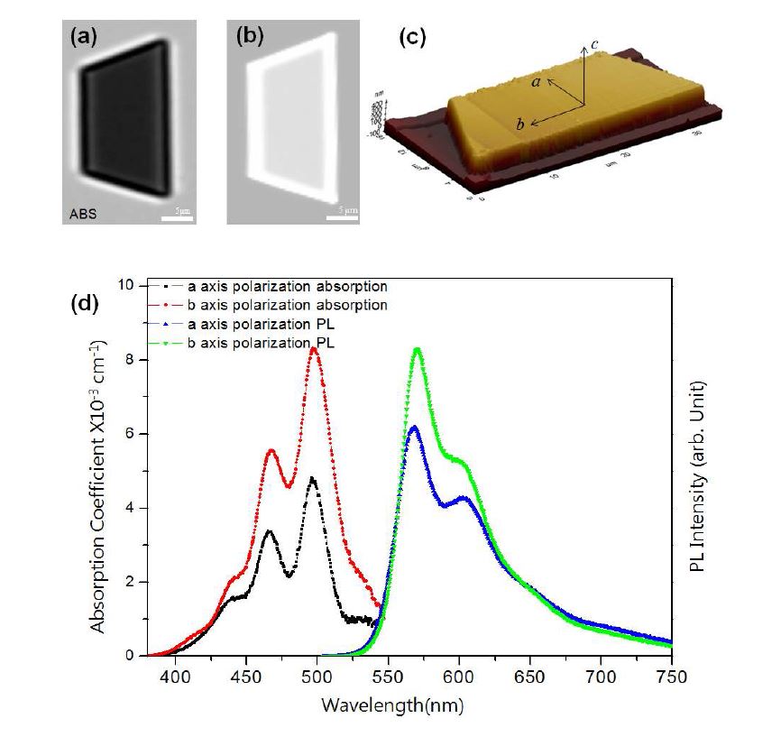 그림 57 (a) 흡수스펙트럼 mapping 이미지 , (b) 광발광 mapping 이미지 ? 원자힘현미경(AFM) topography 이미지 각각 동일한 Rubrene 나노판에 대한 이미지이며 AFM으로 측정된 나노판의 두께는 ~400 nm 이다. (d) Rubrene 나노판의 편광방향에 따른 평균 흡수스펙트럼과 PL 스펙트럼.