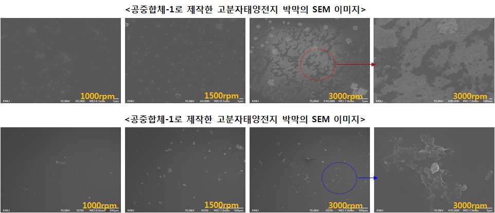 그림 11. 전위제어법으로 합성된 공중합체로 제작한 고분자태양전지용 박막의 SEM 이미지.