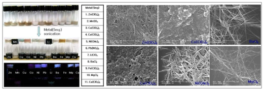 Gelation test and SEM images of ligand 3.