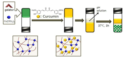 Schematic representation of curcumin encapsulation and