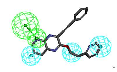 : 본 연구팀에서 개발한 선도물질인 DGG-954 화합물의 pharmacophore mapping 분석 결과