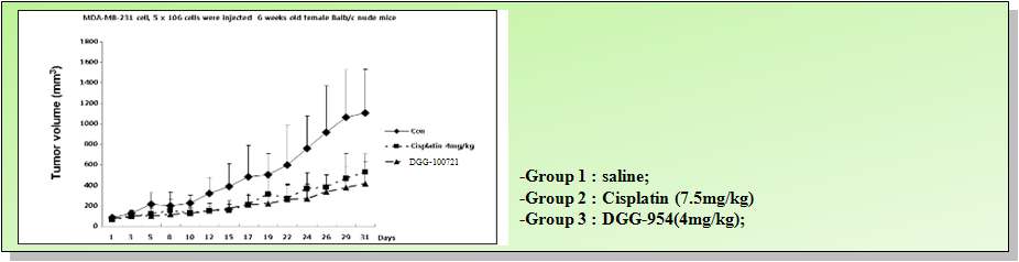 : 본 연구팀에서 개발한 피리도퀴녹살린계 선도물질인 DGG-954 화합물에 대하여 항암효과 in vivo 테스트를 하기위하여 대조약제로 시판약물인 Cisplatin과 비교 검증결과 Cisplatin보다도 독성이 낮고 우수한 항암활성을 나타내었다