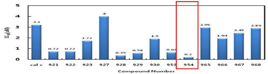 제2차년도 개발 피리도퀴녹살린계 선도물질(DGG-954; 붉은 박스) 및 유도체의 A549/Wnt2 cell line에 대한 in vitro 활성과 대조약제인 Calphostin C와의 활성(IC50) 비교표