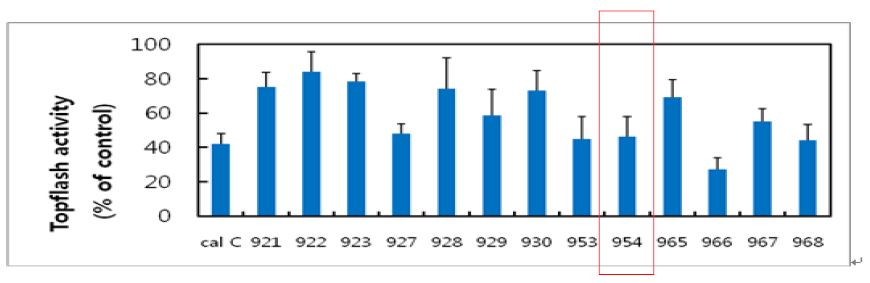 제2차년도 개발 피리도퀴녹살린계 선도물질(DGG-954) 및 유도체의 A549 cell에서 Tcf/β-catenin transcriptional activity 활성과 대조약제인 Calphostin C와의 활성(IC50) 비교표