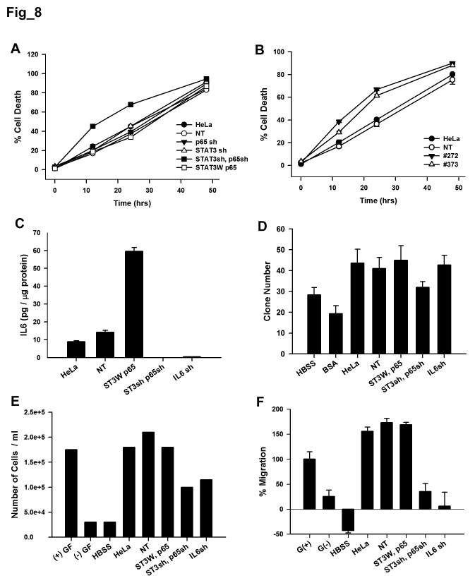 Figure 8. Activated STAT3 and NF-κB promote survival of starved cancer cells, and the conditioned media from starved cancer cells increase proliferation and migration of HUVECs. A and B.