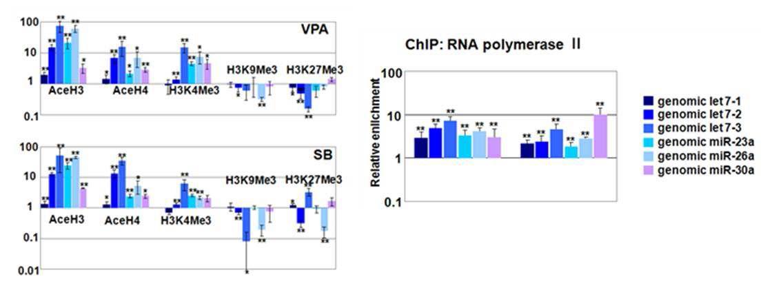 HDAC 저해제 처치 후 miRNA를 코딩하는 genomic DNA상 후성유전학적 조절