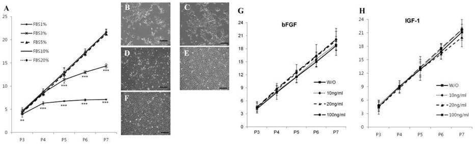 세포배양배지 내 함유 혈청(FBS) 및 성장인자(bFGF, IGF-1) 농도 변화에 따른 사슴 뿔 유래 줄기세포의 형태 및 성장 확인