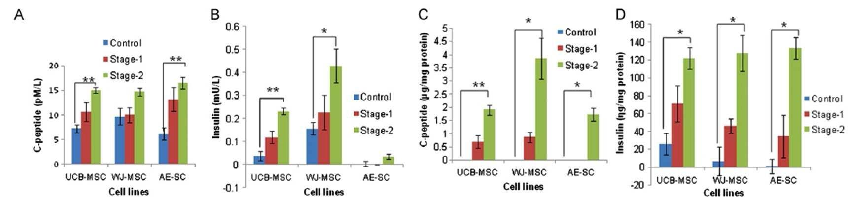 성체줄기세포의 분화유도에 따른 c-peptide, insulin 분비 및 세포 내 보유량 확인