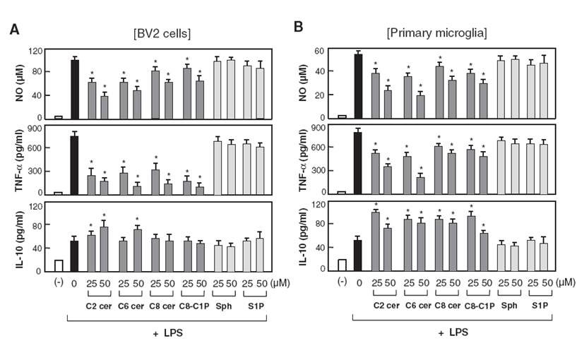 LPS로 활성화된 소교세포에서 세라마이드 유도체가 NO, TNF-α, IL-10, 생성에 미치는 영향