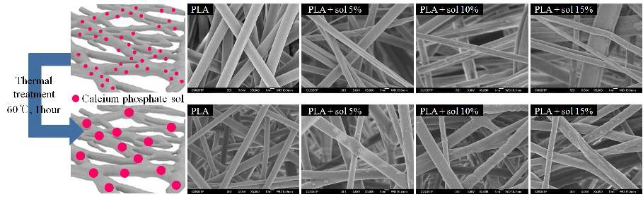 그림 5. 칼슘포스페이트 졸을 함유하는 PLA 나노섬유