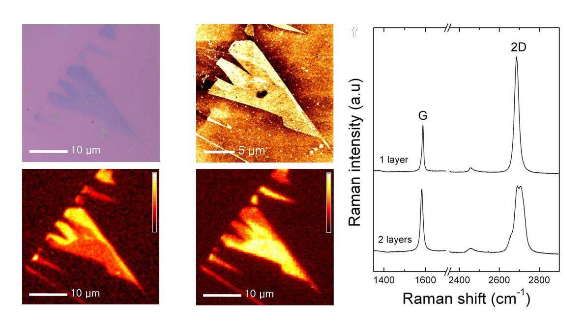 그림 5. Graphene의 광학 현미경 사진, 원자현미경 사진,라만 이미지 사진, 라만스펙트럼