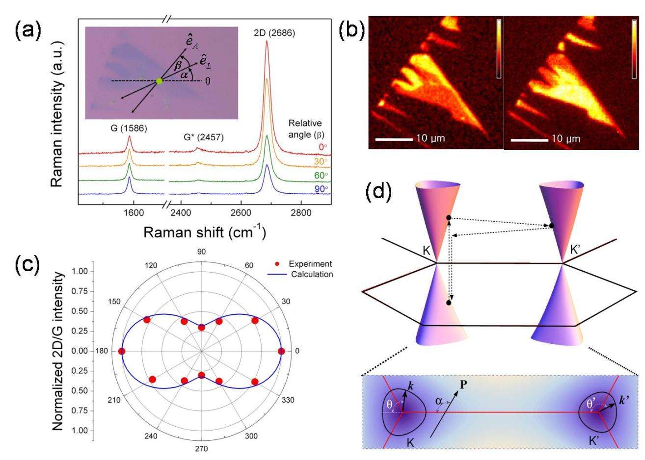 그림 7. (a) 단일층 그래핀 시료에서의 편광에 따른 라만 스펙트럼, (b) 그래핀 시료의 라만분광 이미지, (c) 라만 2D밴드의 편광에 따른 세기, (d) DRR 매커니즘의 개략도
