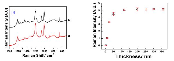 그림 19. (좌) 0.5 % 폴리(4-비닐피리딘)을 스핀 코팅 방법으로 코팅한 유리판위에 형성시킨 은 나노 구조체의 앞면(a)과 뒷면(b)에서 얻은 표면 증강 라만 산란 스펙트럼. (우) 고분자막의 두께에 따라 얻어지는 라만 산란 스펙트럼의 세기 변화 그래프