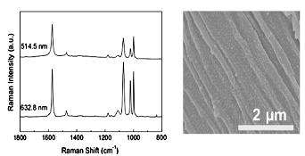 그림 32. (좌) 벤젠치올이 흡착된 은 나노 입자 필름의 SERS 스펙트럼 (우) 직물 위에 코팅된 은 나노 입자의 주사 현미경 사진.
