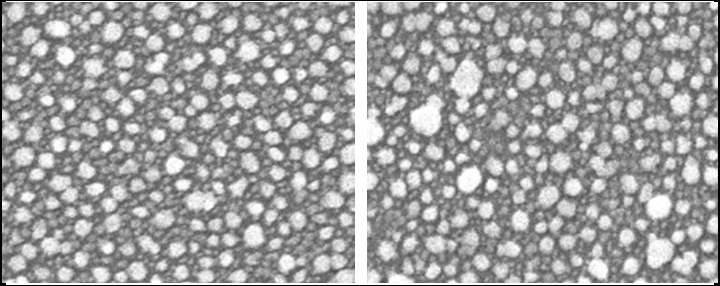 그림 33. 제조된 금 나노 이합체 (좌) 와 금 나노 삼합체 (우) 의 투과 전자 현미경 사진.