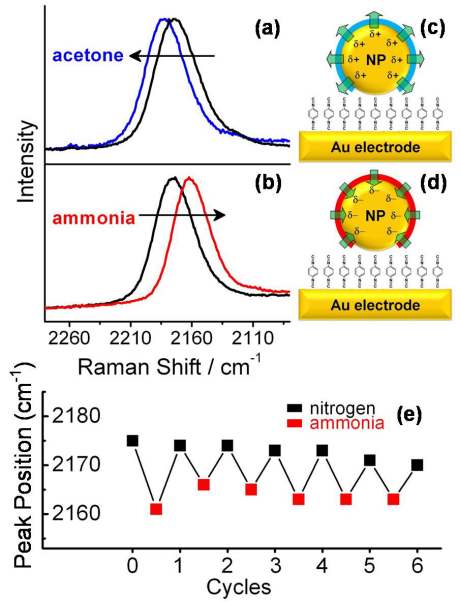 그림 45. 1,4-PDI 분자가 흡착된 금 나노 이합체에 아세톤, 암모니아에 의한 NC진동모드를 관찰한 라만 스펙트럼(위)과 이에 따른 표면 전위 변화(아래).