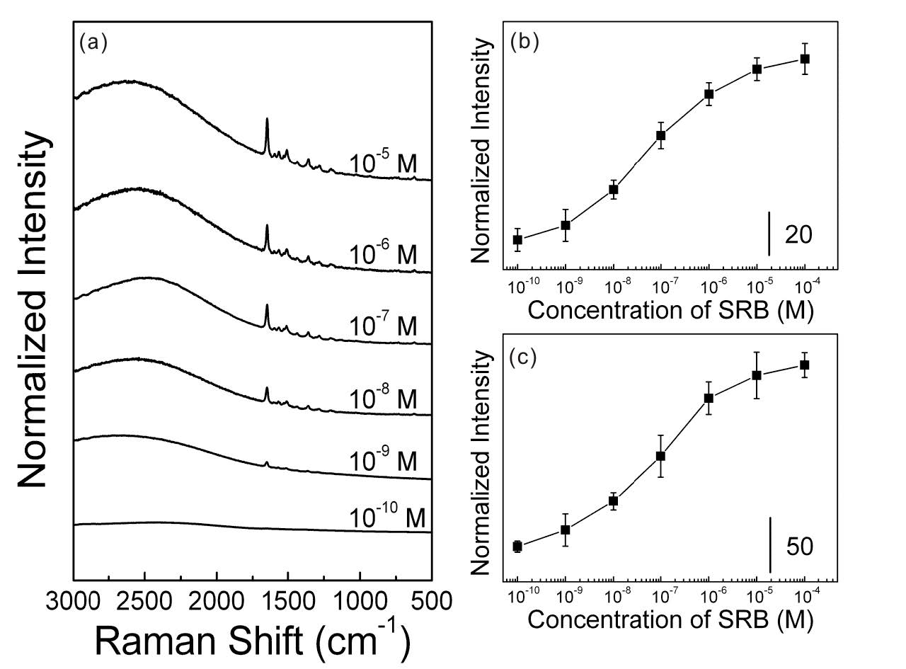 그림 49. (a) 10-5-10-10 M SRB의 Raman 스펙트럼 (b) 농도에 따른 1650 cm-1피크의 세기 (c) 농도에 따른 2500 cm-1 형광 세기 도시