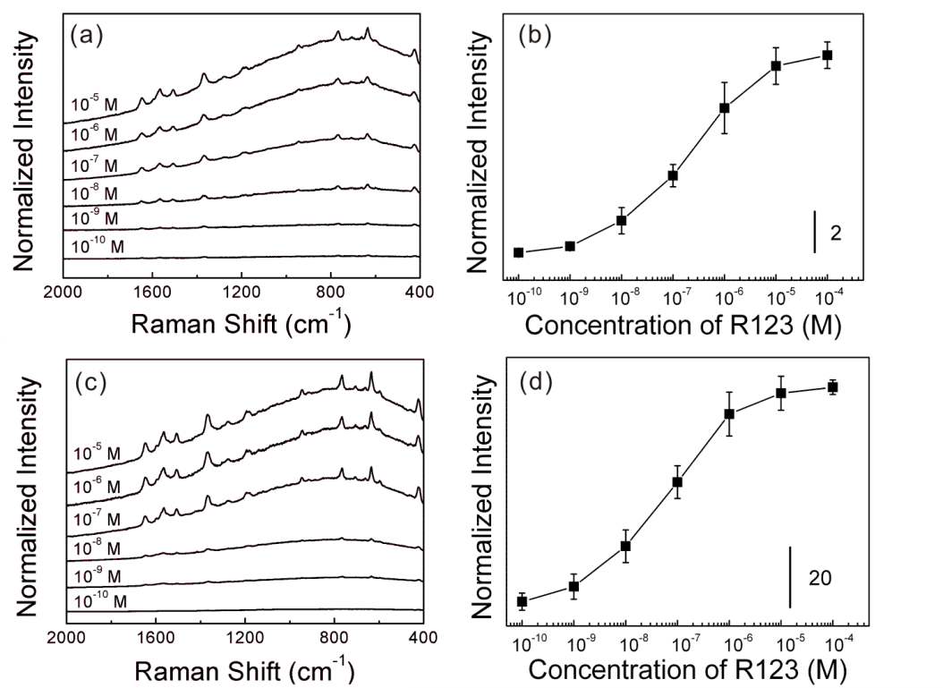 그림 50. (a) PAA가 코팅된 PEI-capped Ag nanoparticle film에서의 10-5-10-10M R123의 Raman 스펙트럼 (b) a에서 농도에 따른 1650 cm-1 피크의 세기. (c)PSS가 코팅된 PEI-capped Ag nanoparticle film에서의 10-5-10-10 M R123의 Raman 스펙트럼. (d) c에서 농도에 따른 1650 cm-1피크의 세기