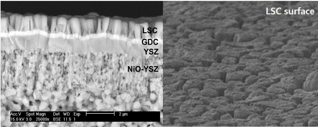 그림 8. 기본 SOFC 구조 SEM: NiO(음극)-GDC(functional layer)+YSZ(전해질)-LSC(양극)