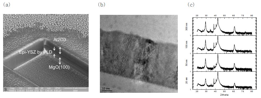그림 4. (a) 박막 단면도 SEM : PLD YSZ (b) 박막 단면도 TEM : ALD YSZ (c) XRD :　PLD YSZ