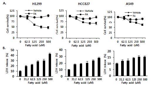 Fig 10. 비소세포성폐암세포주에서 ω-hydroxyundec-9-enoic acid의 viability에 대한 효과