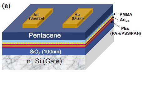 Fig 12. Schematic diagram of the memory device architecture.