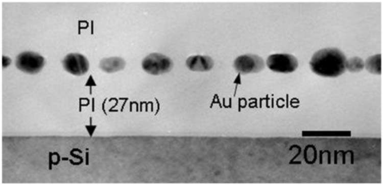 Fig. 14. Cross-sectional TEM image of the PI/Au nanoparticles/PI sample