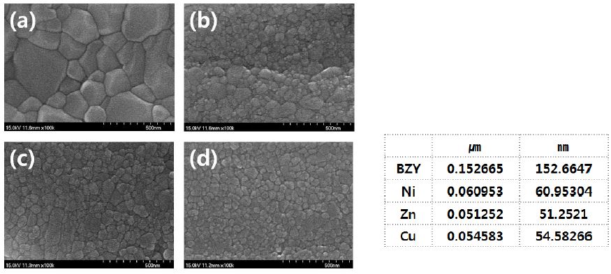 SEM을 통한 BZY 전해질의 미세구조 분석