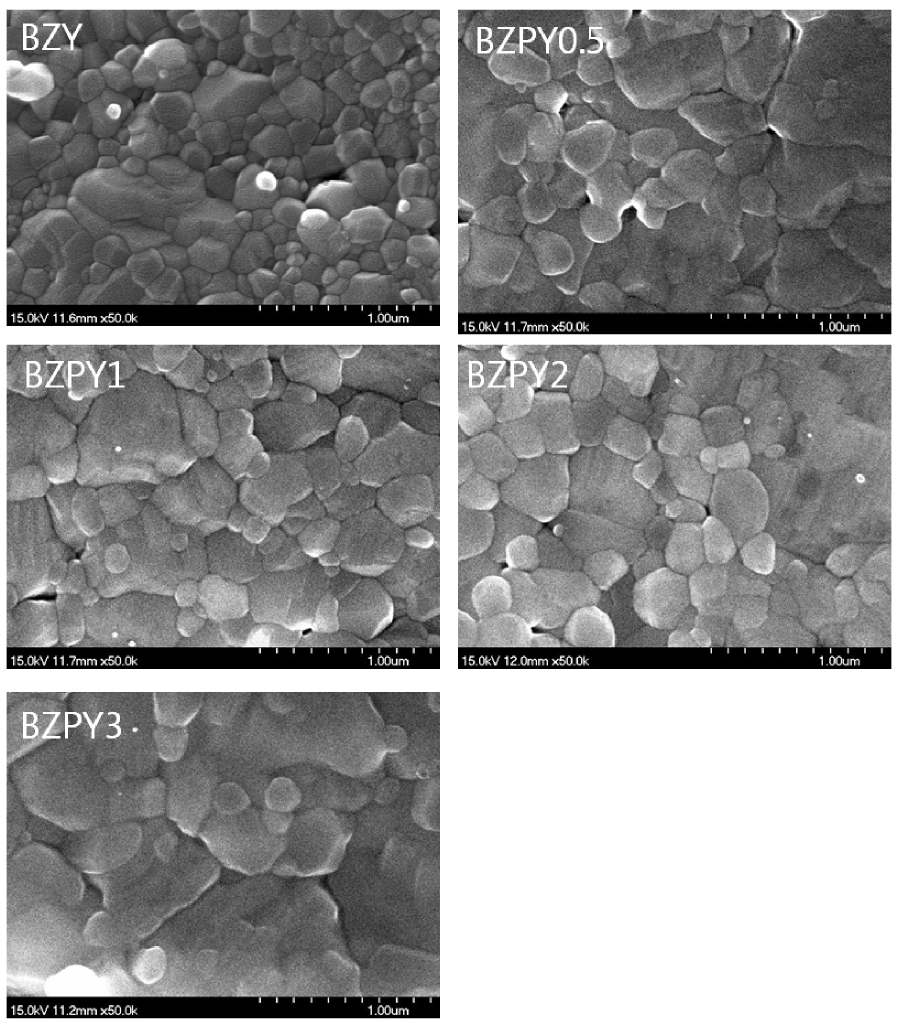 소결된 BZPYx fracture 샘플의 FE-SEM image