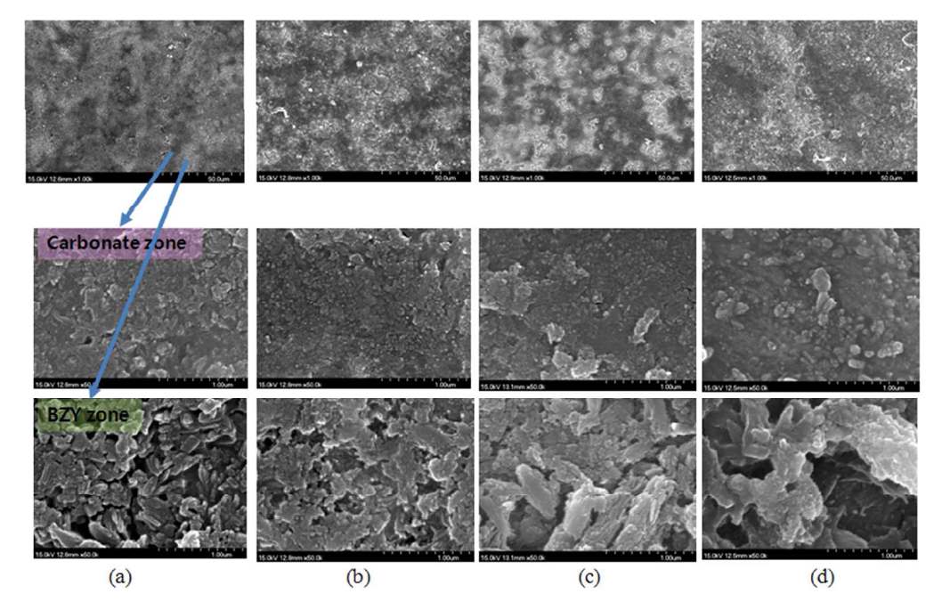 Carbonate 함유량별 SEM 이미지