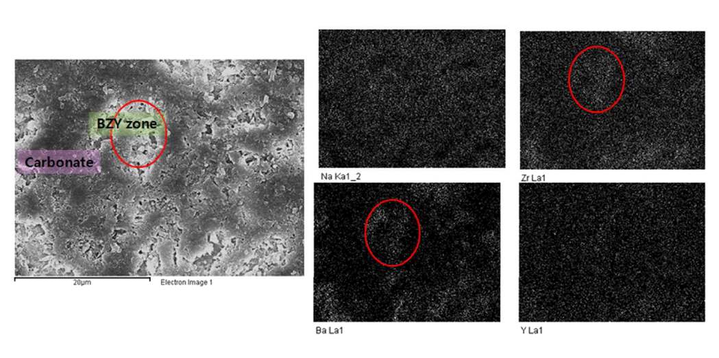 composite BZY+Carbonate (25wt%) 샘플 EDX mapping 이미지