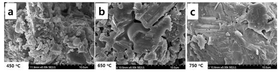 대기중에서 8 시간동안 각각 450, 650, 750 ℃에서 소결한 Ce0.9M0.1P2O7의 파단면 SEM 이미지