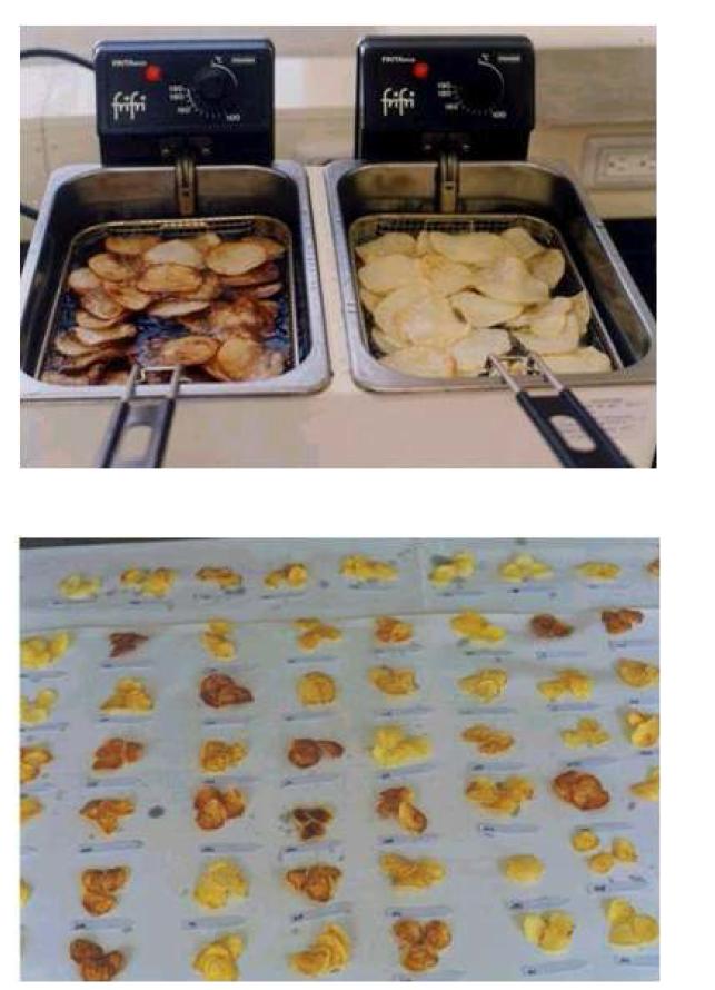 Processing quality test of potato chip.